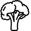 L'ATELIER VÉGÉTAL